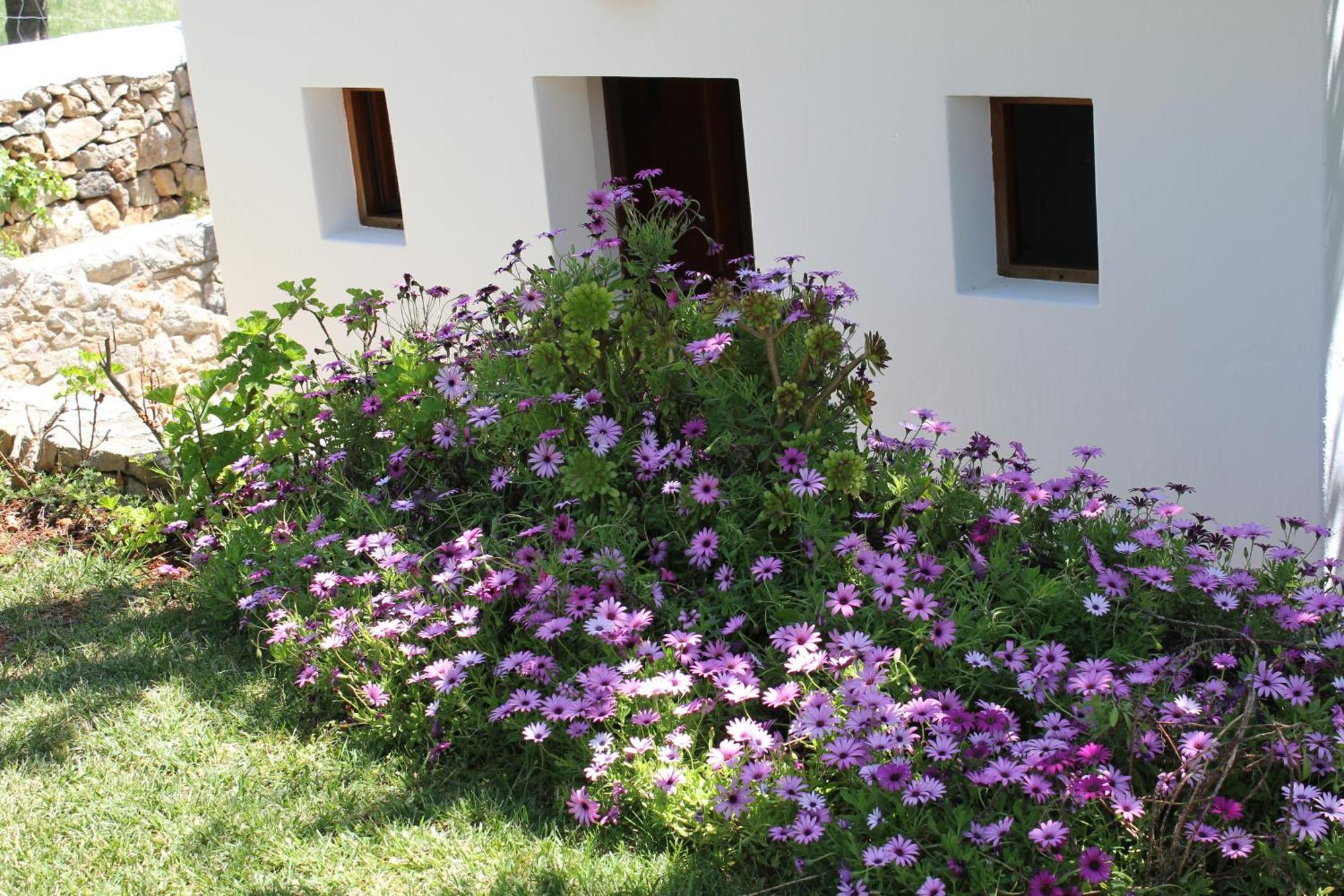 Fuster Landhaus Sant Joan De Labritja